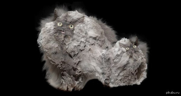  -  &quot;&quot;,         &quot;&quot;.