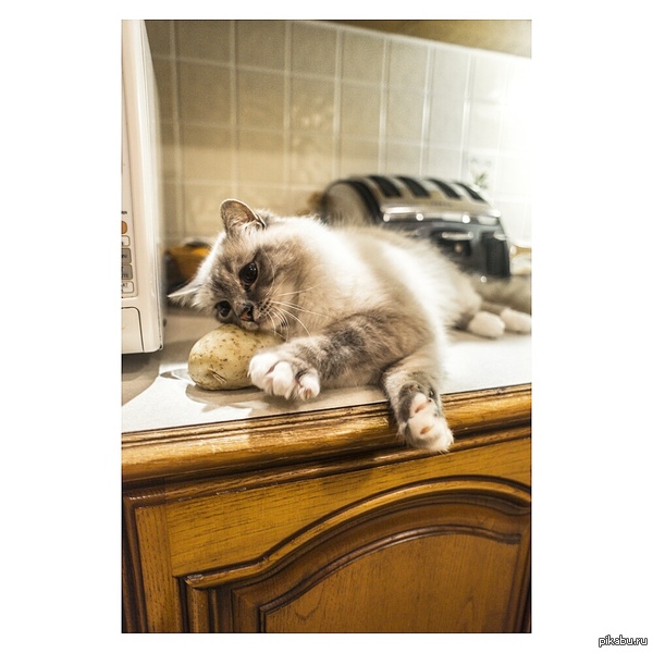 &quot;  ,      !&quot;