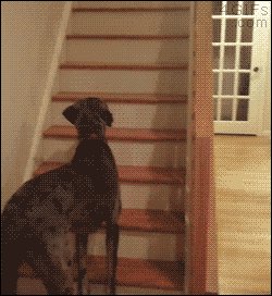 Nope! 