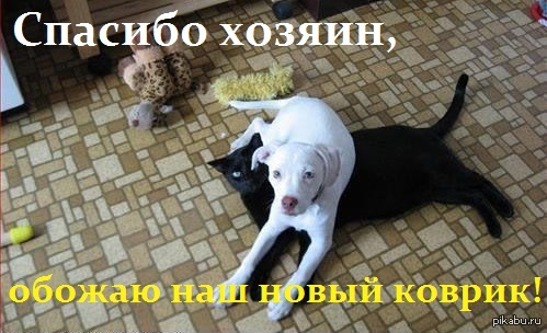 Все для лучшего друга.