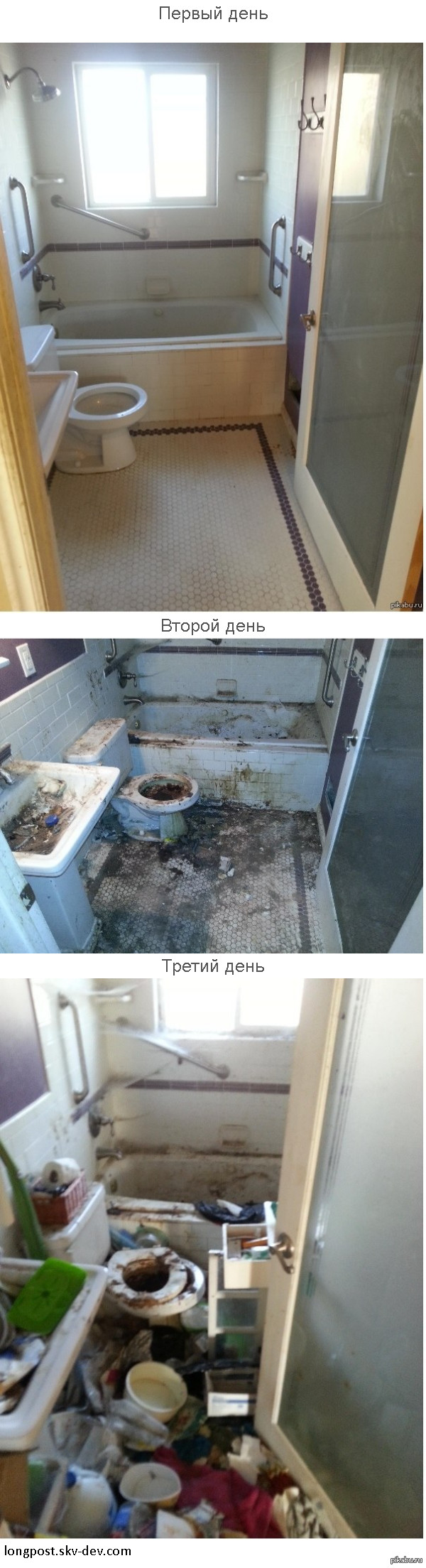 Когда родители уехали