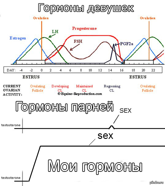 Мои гормоны
