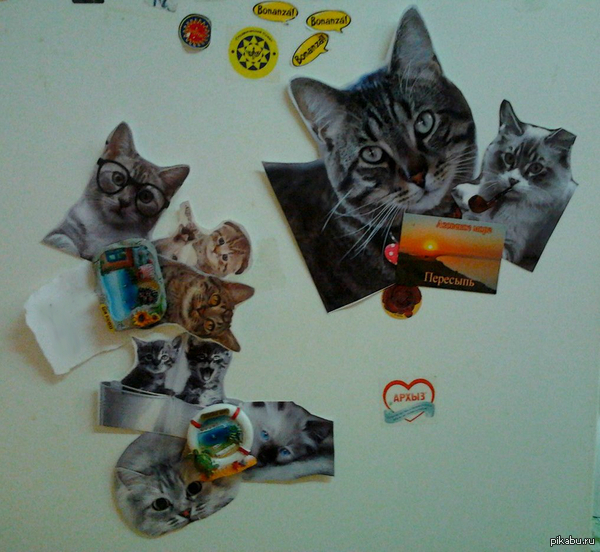 Вот и мы стали сильными и независимыми женщинами)