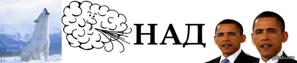 Угадай строчку из песни Сектора Газа