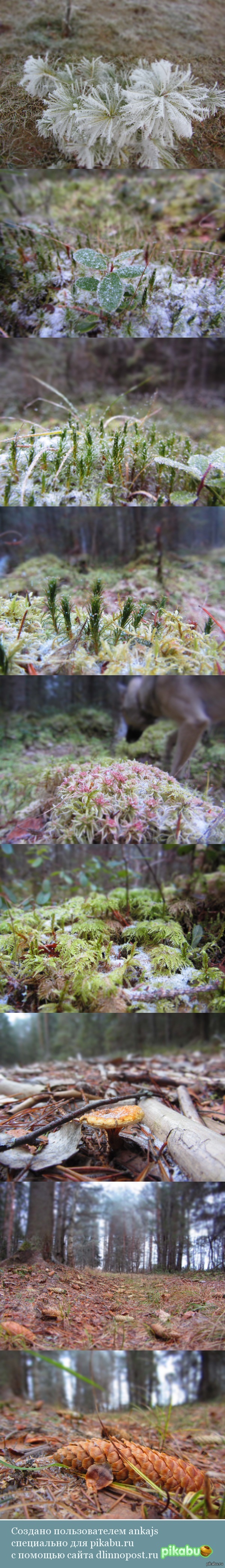 Я не фотограф