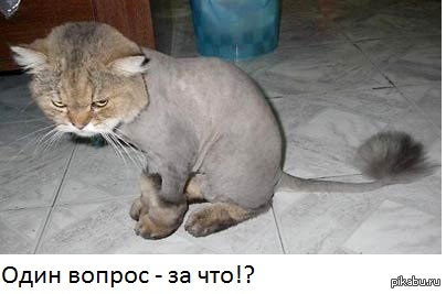 ��� ������������ :)