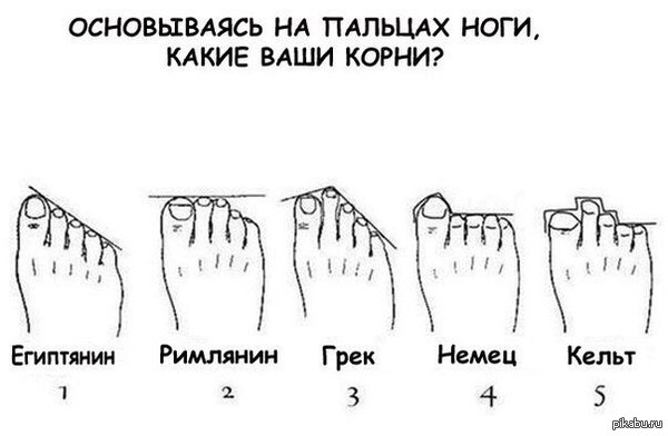 Определи корни