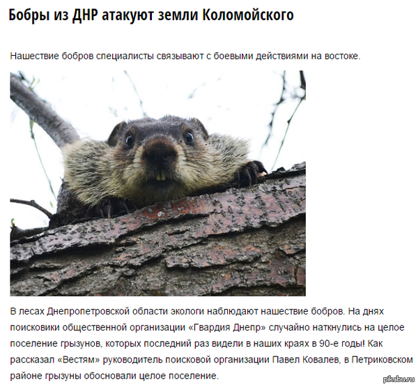 �����-����������