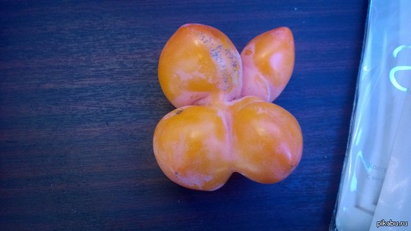 Вот такая вот хурма...