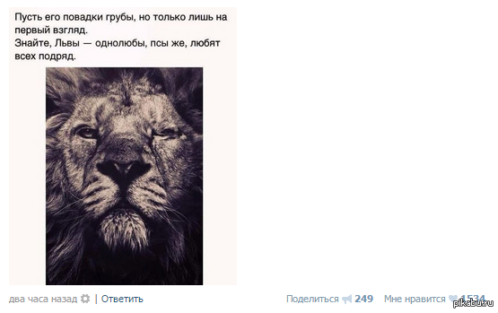 Статус Фото Лев
