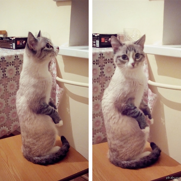 ����� �� ������)