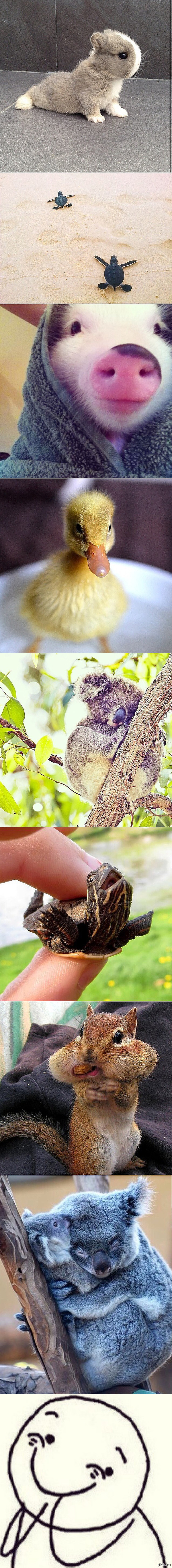 ����� ��������