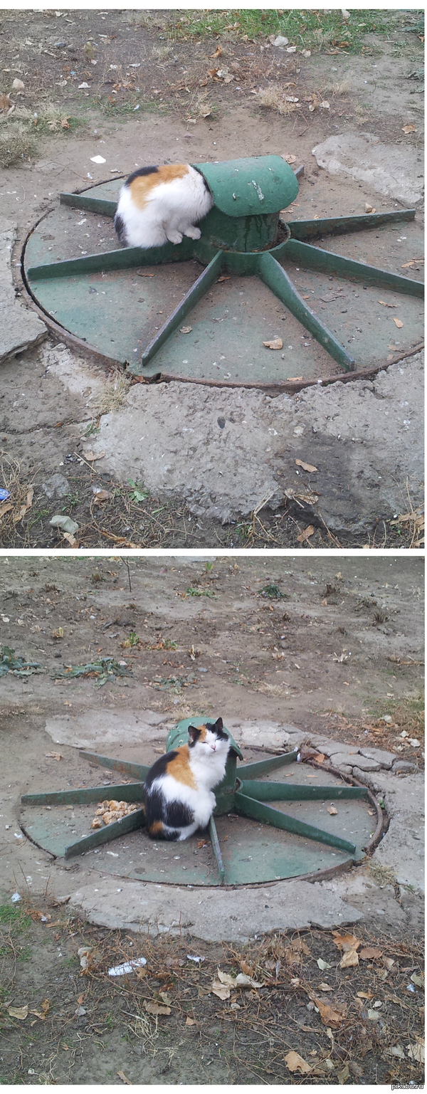 ������� ������� ��� �����  =(