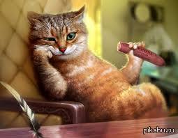 Просьба мастерам. Кто нибудь сделайте гифку в которой в собаку тыкают палкой а она рычит и гавкает а над палкой надписи: