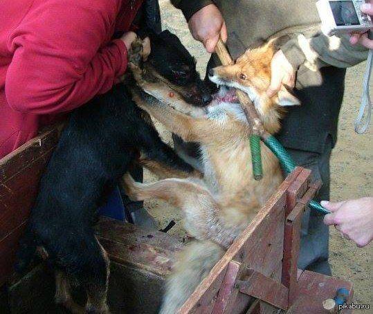  .   .      . ,      .