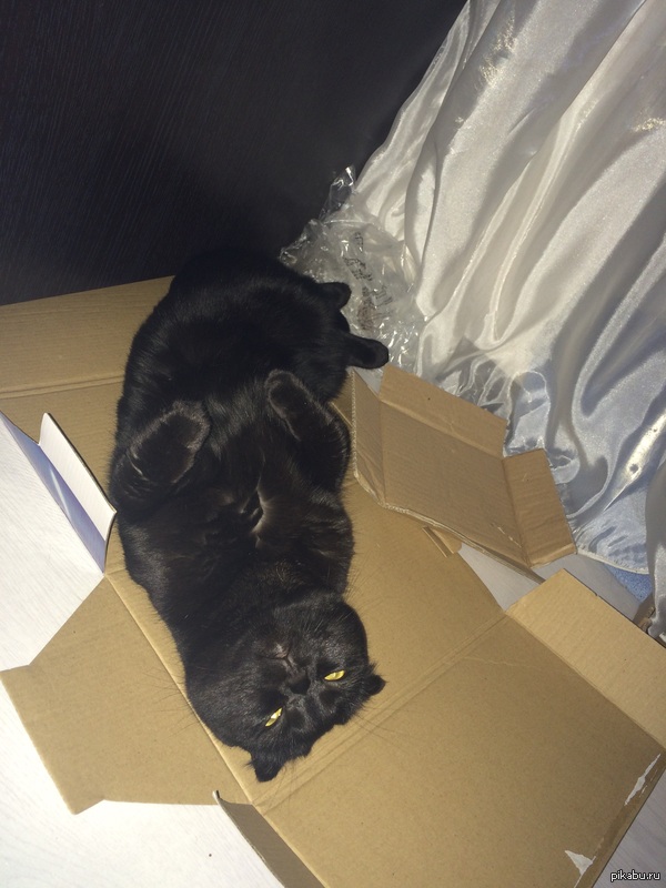 ����� � �������.