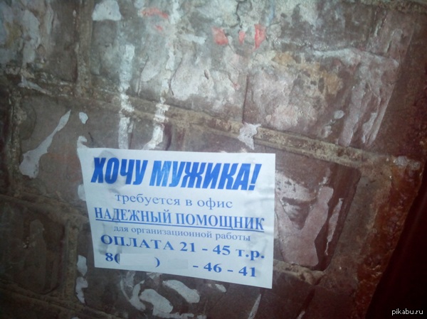 ����������.