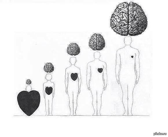 � �����.