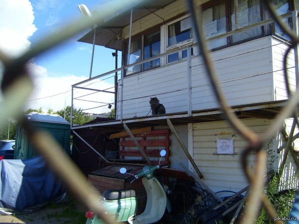 ����������� ���� �� ������� �������, ��� � ��� ����������� �������� ����� �� ������.