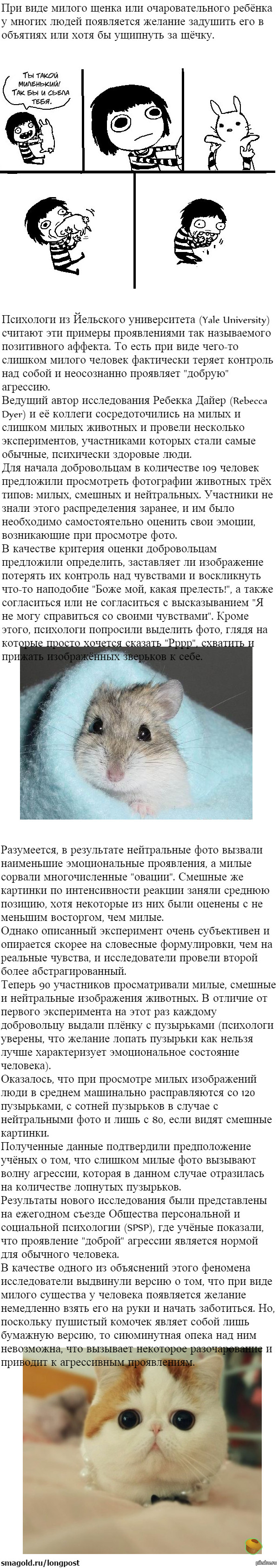 ������� ����� �������� �������� � ����� ��������