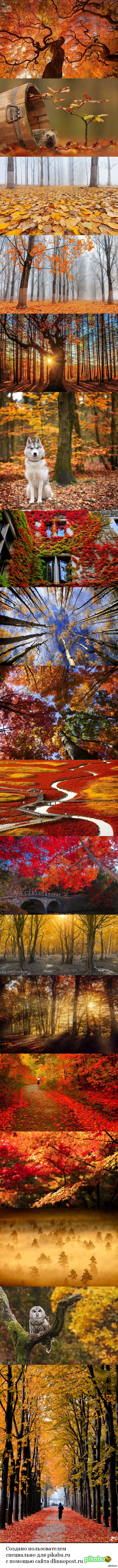 Уходящая осень