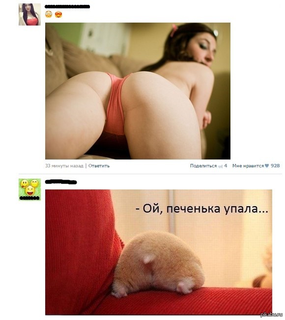 Funny coincidence - Matching posts, Hamster, Coincidence, In contact with, Booty, NSFW