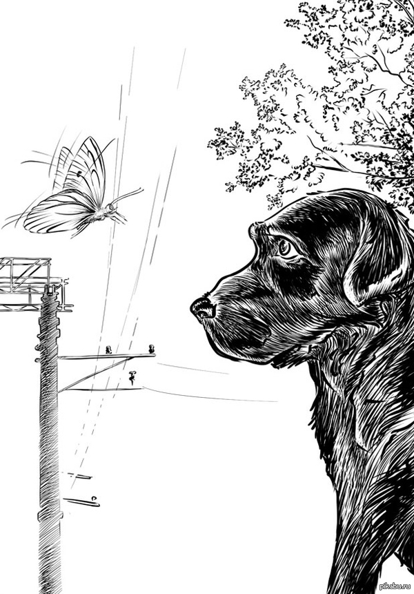 Нарисовано ручкой | Пикабу