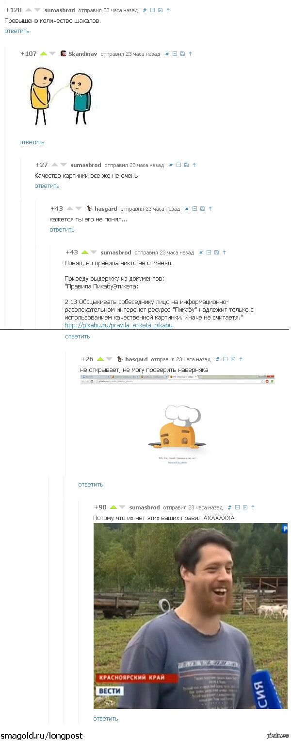 Ох уж эти комментарии пикабу