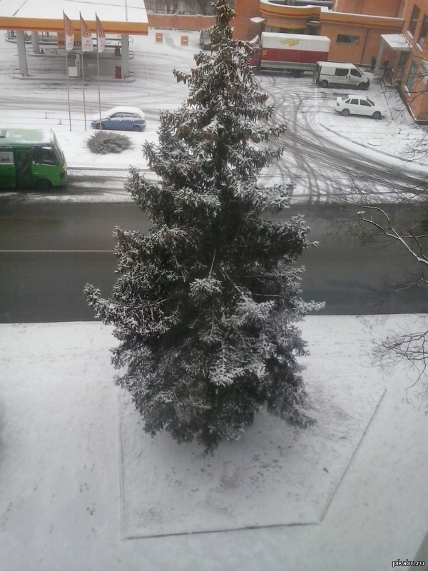 Просто вид из моей общаги=)