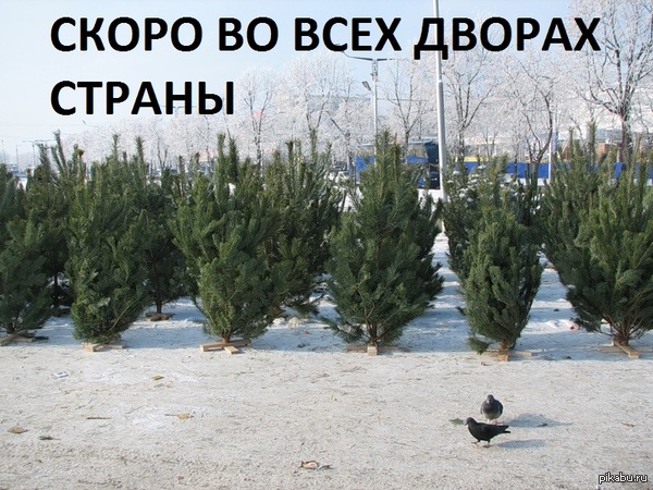 УЖЕ ХОЧЕТСЯ