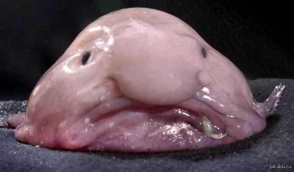   ,    ,     ?       :