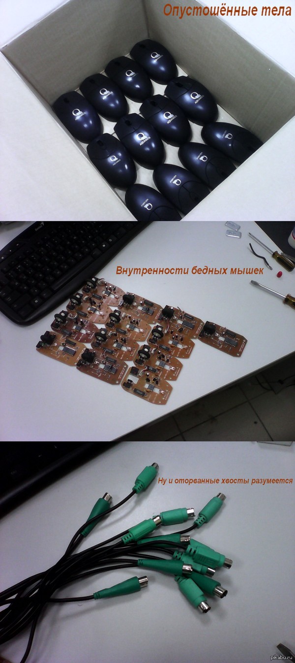 Кладбище мышей