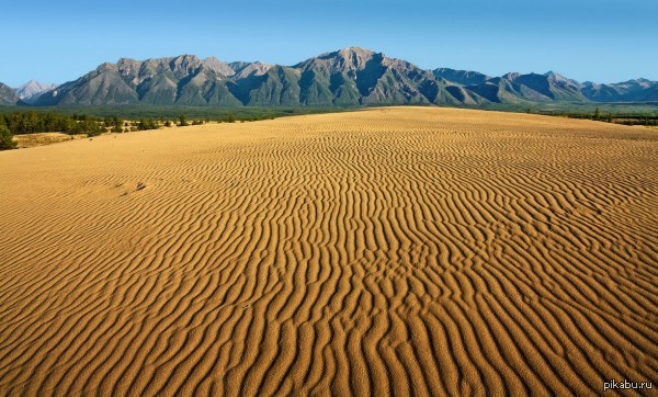 Desert на русском. Чарские Пески, Забайкалье. Чарские Пески, Забайкалье, Россия. Чарская пустыня Забайкальский. Забайкальская пустыня Чарские Пески.