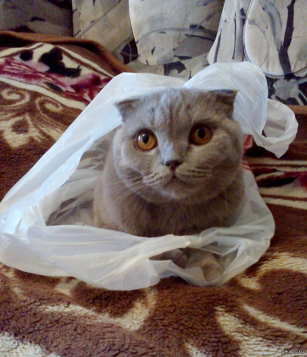 �������, �������... � ��� ��� ����� �������?