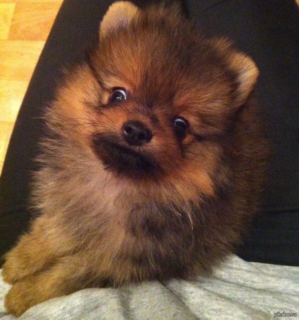 ��� �������� ������, ����� ���� ����������, ��� ����� �� ������.