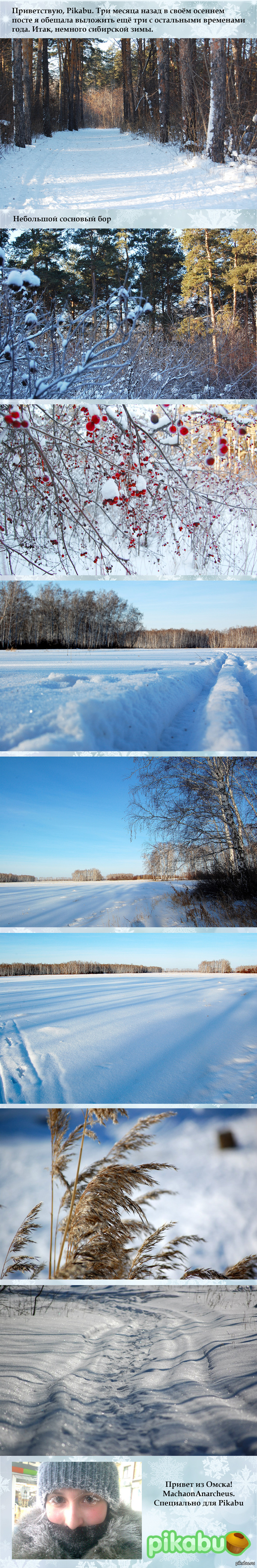 Зимняя природа