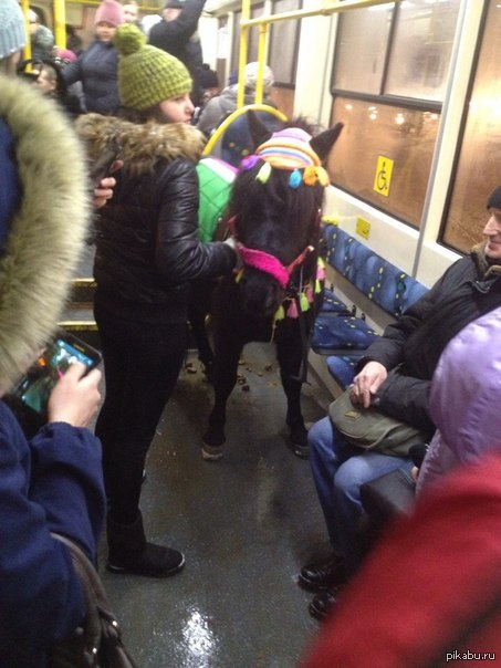 ��� ��� �������, ��� ���� ������ ���������?))