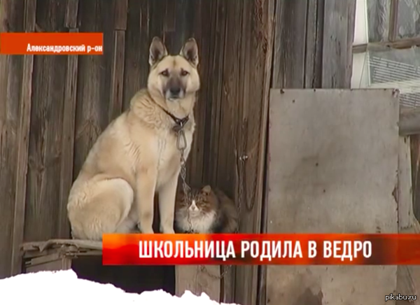 ��� � �� �������� ��� ������������ ���������� ��������� � ������