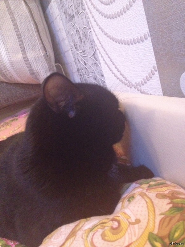 ����...zZzZzZ))