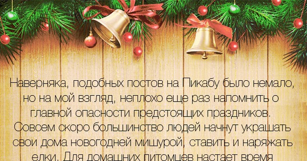 Новогодний дождик и кошки. | Пикабу
