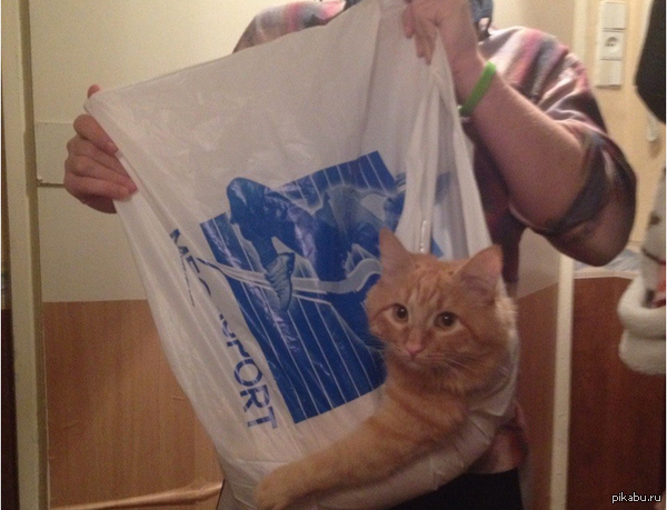 ���, ��� ��� ������ �� ����, �� ������ ��� ���