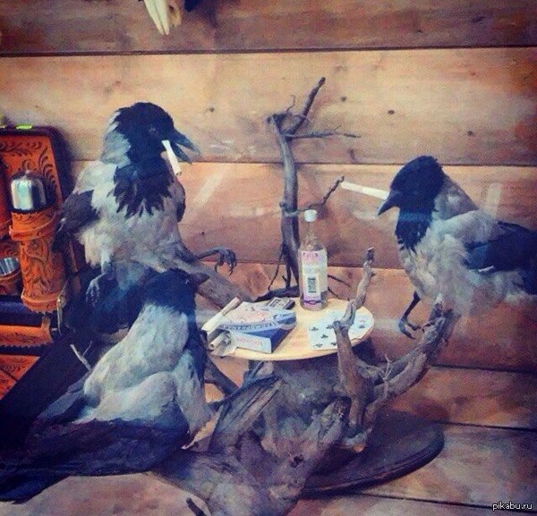 ������� ����� �����