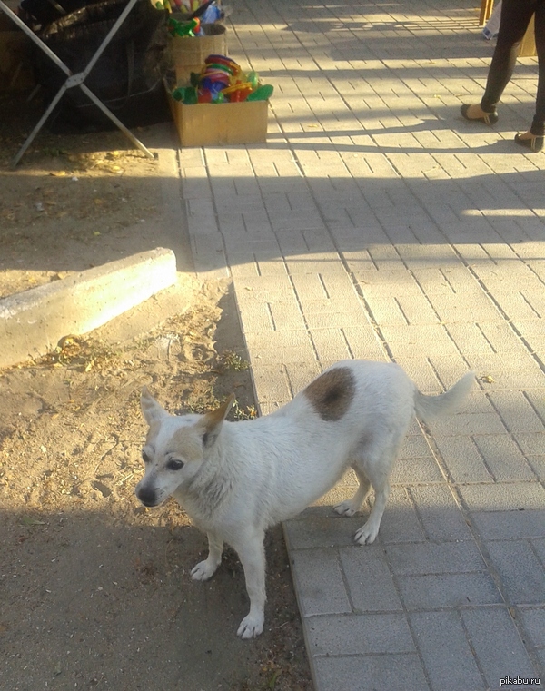 ���� �����