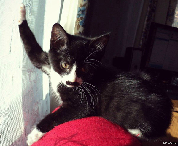 �������� ��� ����! ������� ���� ��� �������� ���!