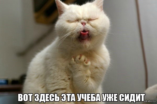 Привет студентам :)