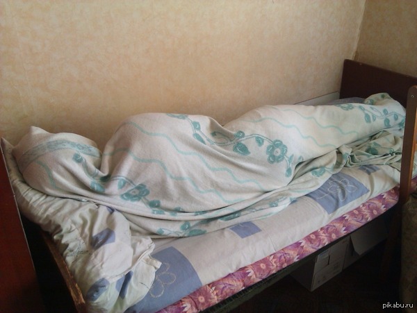 Личинка студента