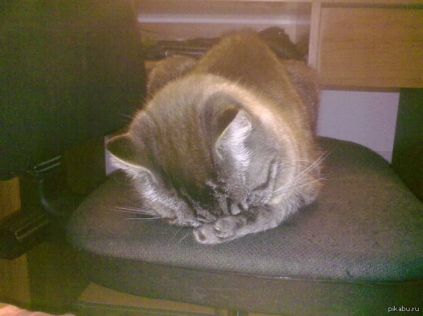 ��� ������� ��� ��� ������ ��� � �����.