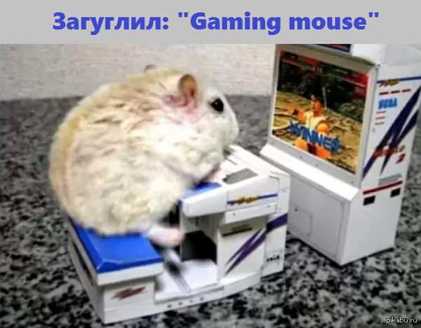 Gaming mouse)
