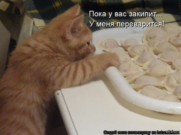               ? :)  http://lenta.ru/news/2014/12/05/chubais/