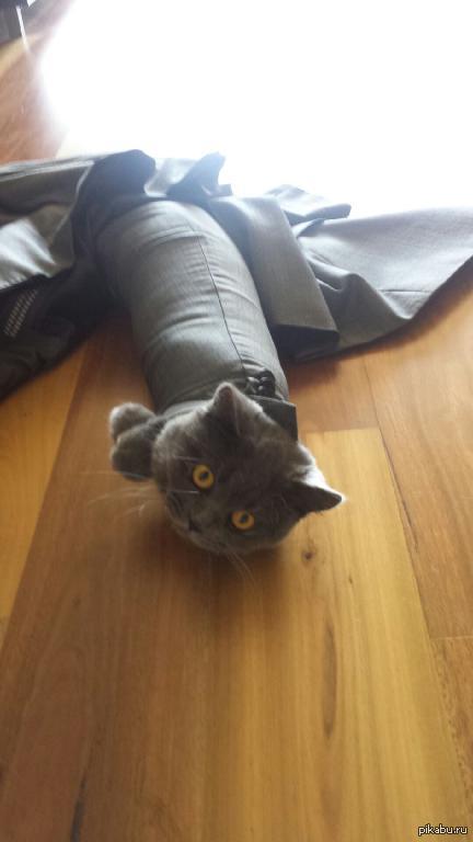 &quot;  ,     ...     &quot;